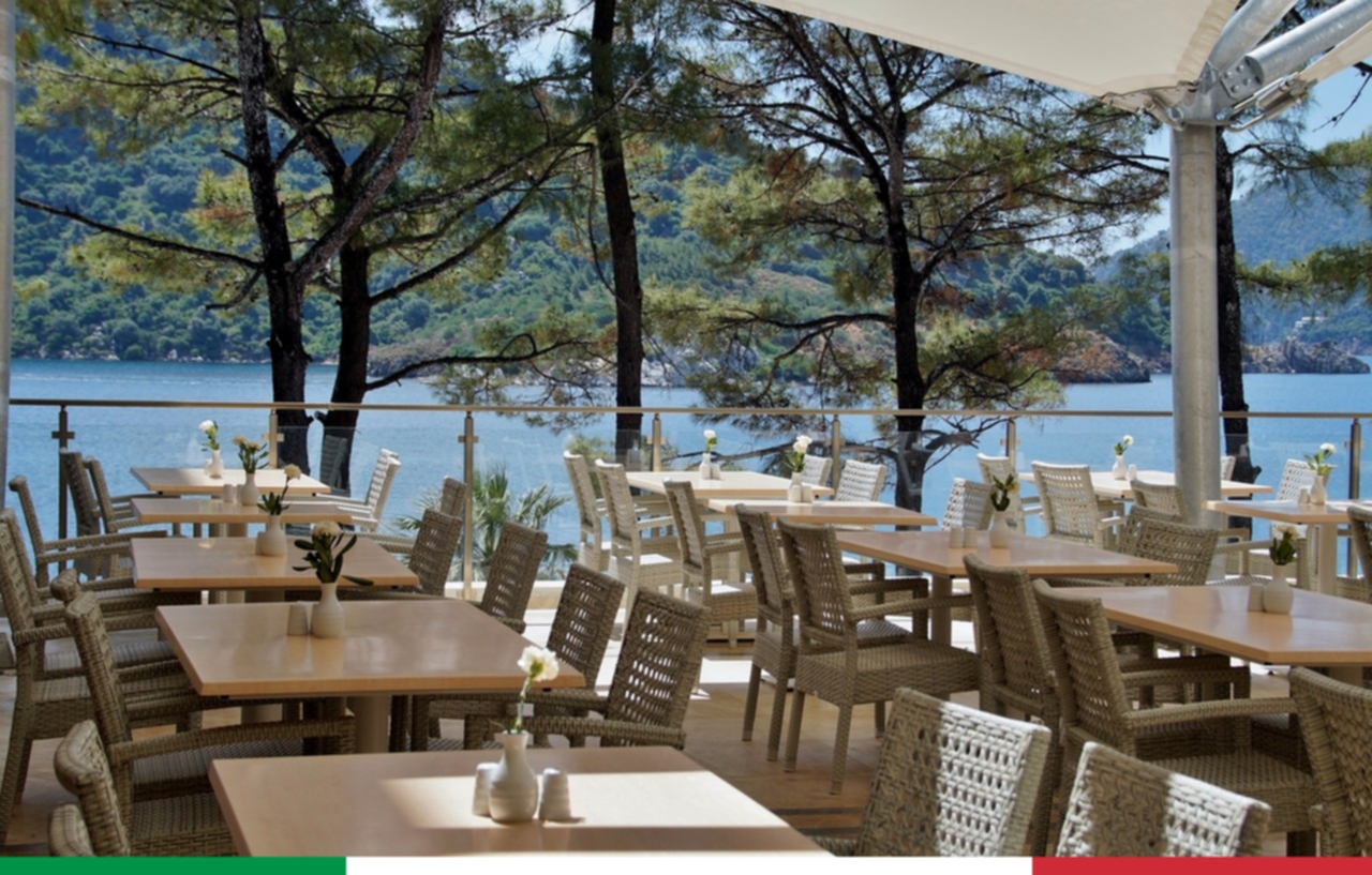 Description of Image